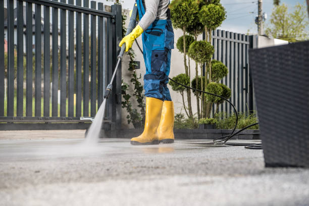 Best Local Pressure Washing Services  in Greeley, CO