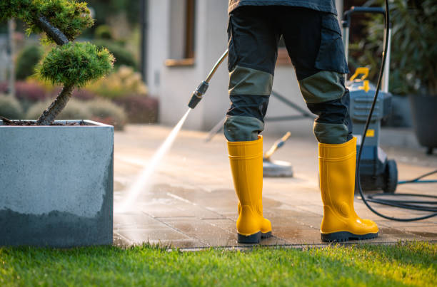 Best Deck Cleaning Services  in Greeley, CO